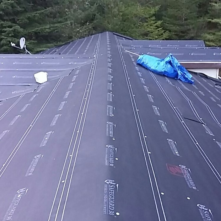 Roofing services in Chattanooga, TN