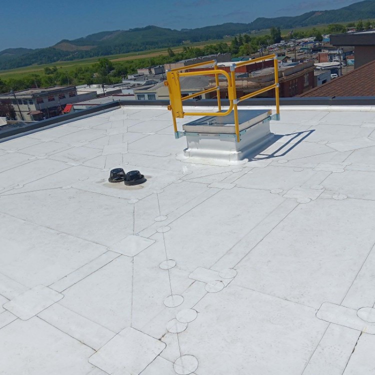Roofing services in Chattanooga, TN