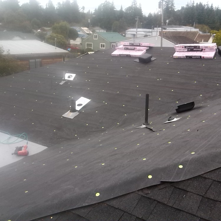 Roofing services in Chattanooga, TN