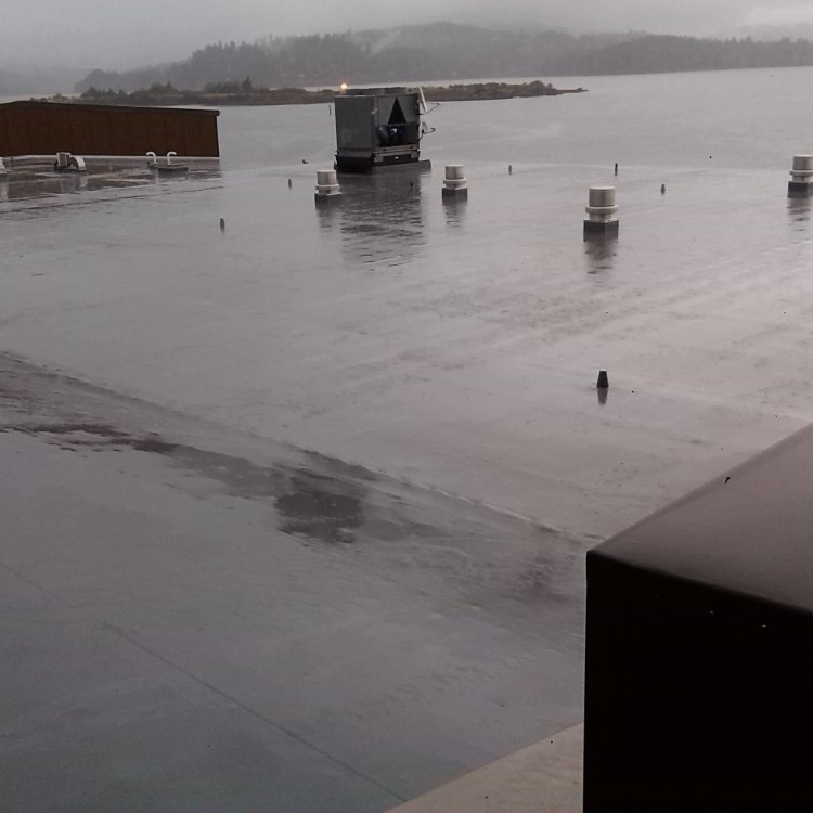 Roofing services in Chattanooga, TN